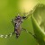 Tecnologías de QIAGEN detectan virus del dengue en primeras etapas de la infección