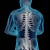 Gedeon Richter lanza app para facilitar seguimiento y adherencia en tratamiento de osteoporosis