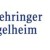 Boehringer Ingelheim y AnGes firman acuerdo de fabricación para una terapia génica