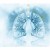 Instituciones médico-académicas apuestan por nuevas terapias contra fibrosis hepática y pulmonar